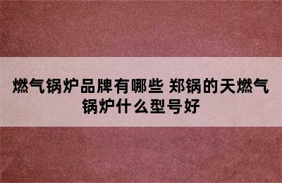 燃气锅炉品牌有哪些 郑锅的天燃气锅炉什么型号好